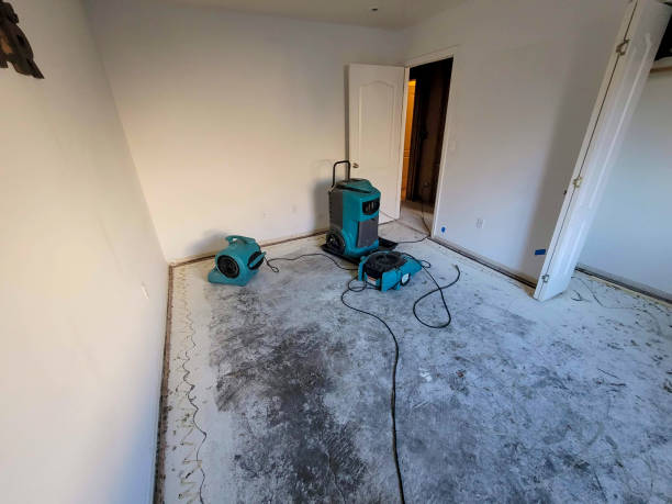 Best Ceiling water damage repair  in East Merrimack, NH