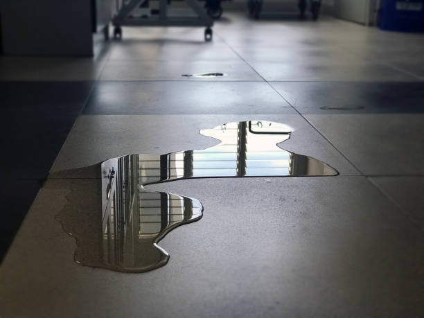 Best Water damage contractors near me  in East Merrimack, NH