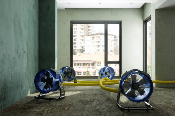 Best Residential water damage restoration  in East Merrimack, NH