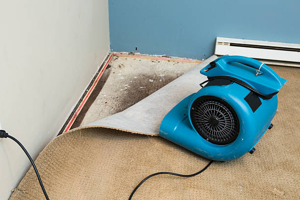 Best Mold removal after water damage  in East Merrimack, NH